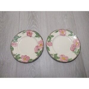 Desert Rose (USA Backstamp) by Franciscan - Set of  2 - 8 in. Salad Plates
